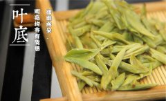 <b>哪些人不适合喝龙井茶？</b>