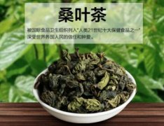 桑叶茶的价格多少钱一斤