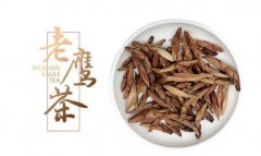 老鹰茶的功效和作用 老鹰茶的饮用方法