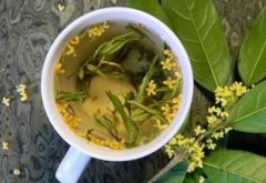 桂花乌龙茶怎么冲泡才好喝