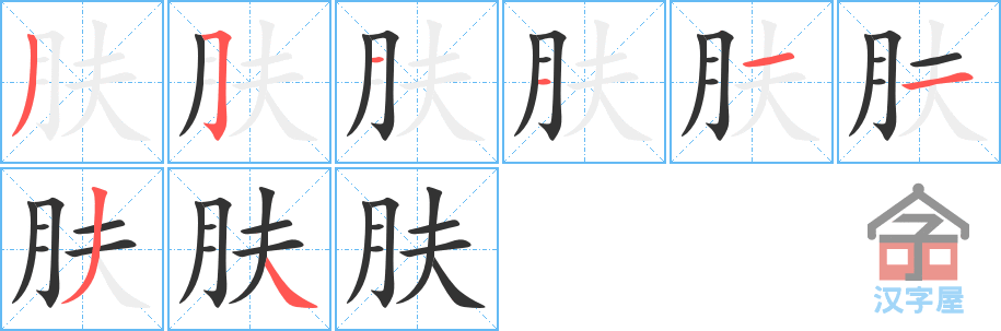 《肤》的笔顺分步演示（一笔一画写字）