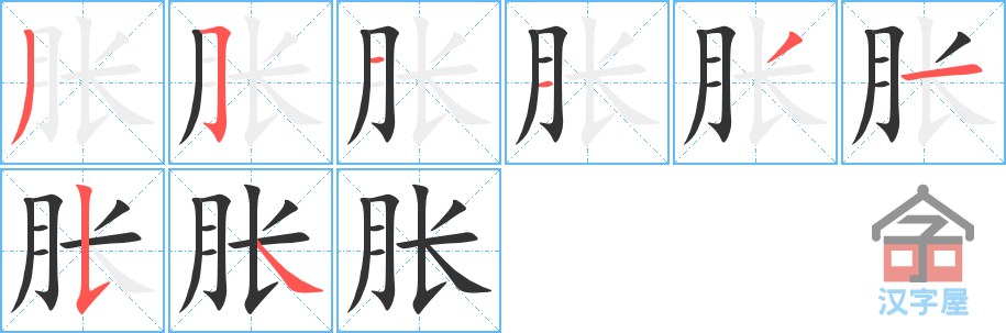 《胀》的笔顺分步演示（一笔一画写字）